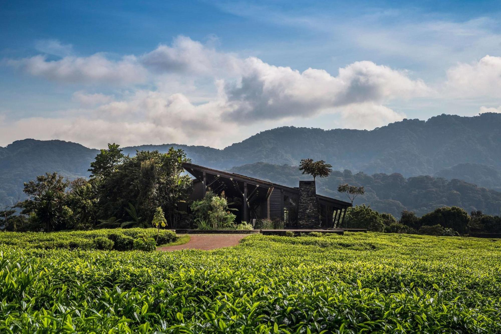 One&Only Nyungwe House Villa Rwumba Buitenkant foto