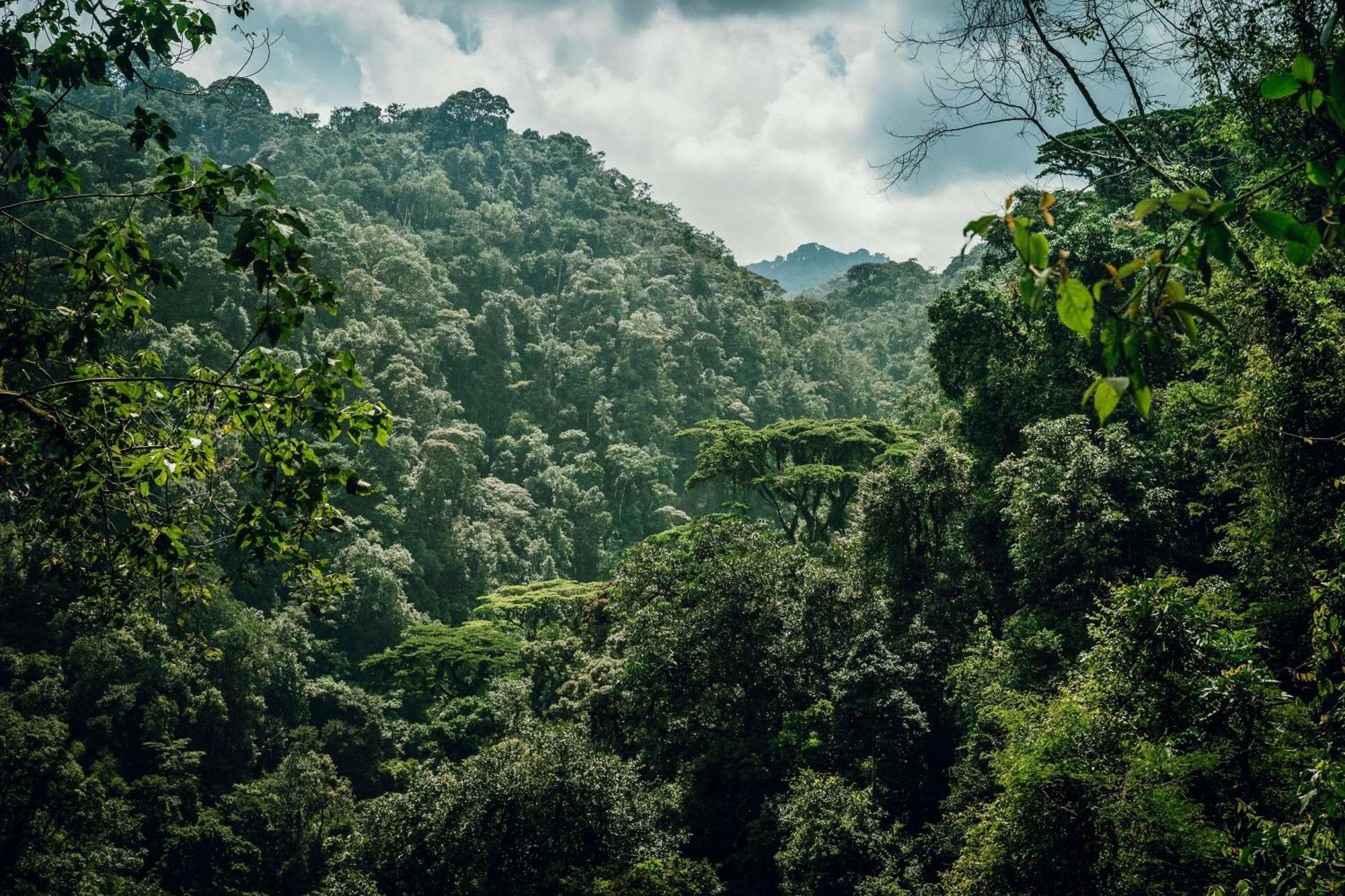 One&Only Nyungwe House Villa Rwumba Buitenkant foto